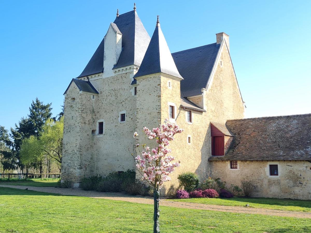 Manoir De La Beuneche - Location Du Manoir Entier Roeze-sur-Sarthe Eksteriør billede