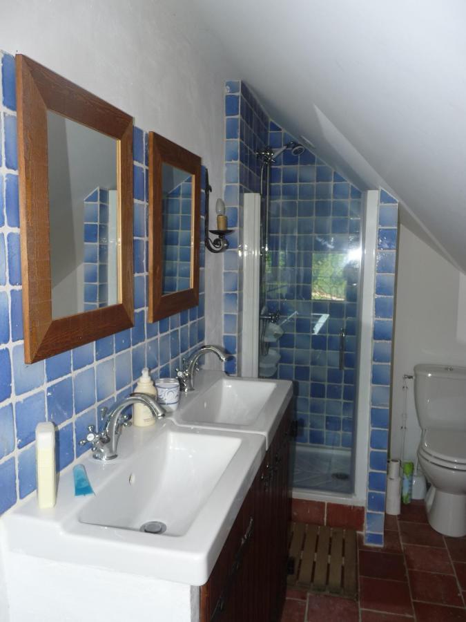 Manoir De La Beuneche - Location Du Manoir Entier Roeze-sur-Sarthe Eksteriør billede
