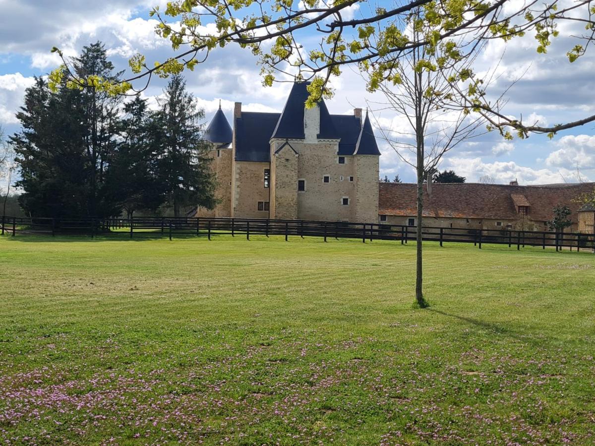 Manoir De La Beuneche - Location Du Manoir Entier Roeze-sur-Sarthe Eksteriør billede